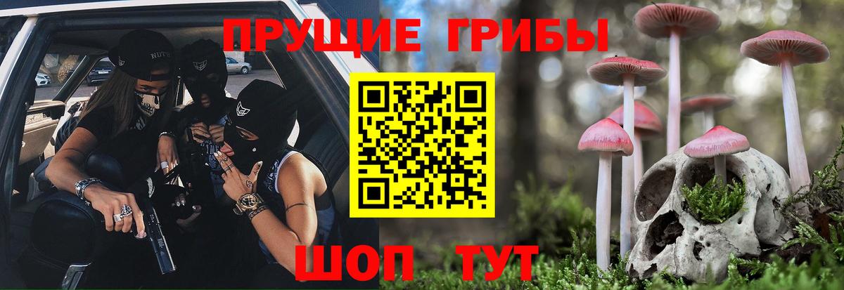 Белогорск  Псилоцибиновые грибы Psilocybine cubensis  Вход с VPN 